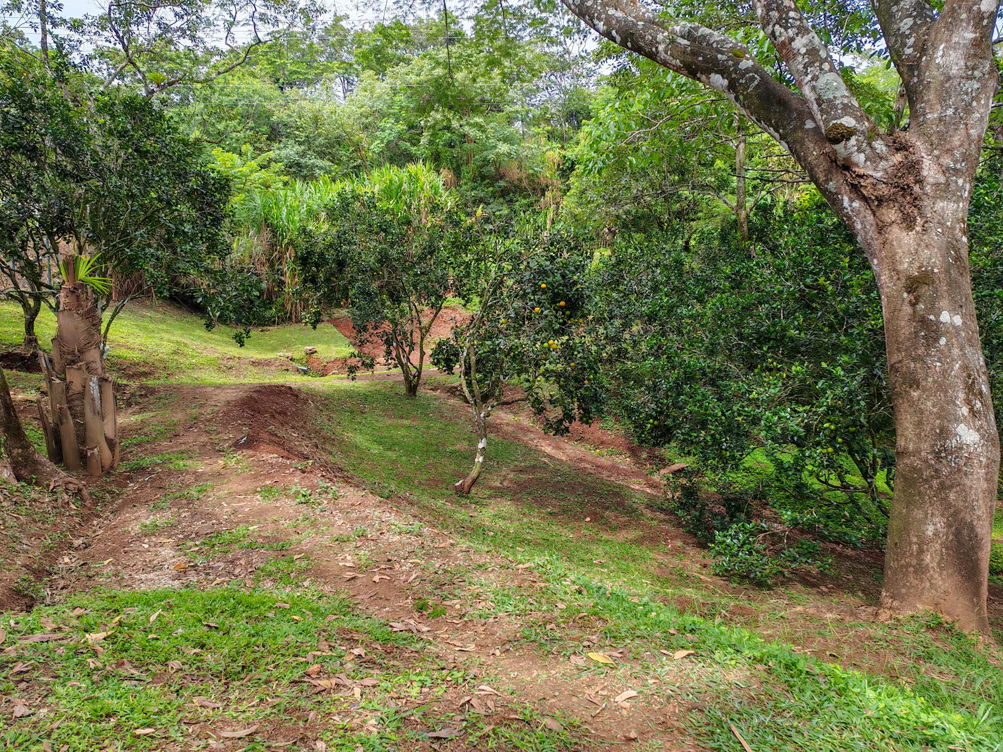 Casa Naranjas for sale, near Sámara, Costa Rica