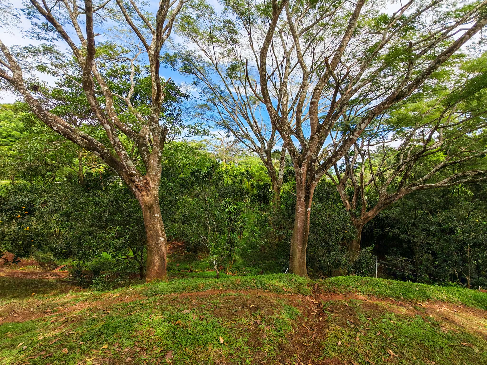 Casa Naranjas for sale, near Sámara, Costa Rica