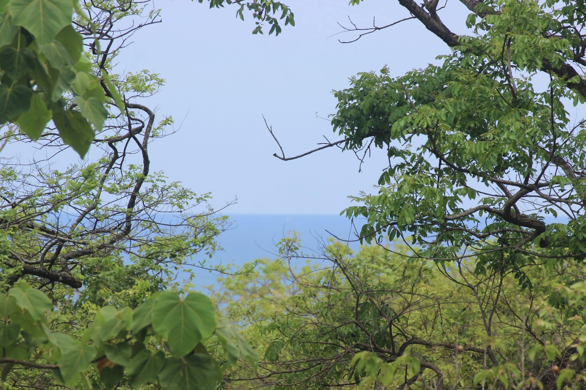 Villa Luna Mar – Ocean View Home in Nosara