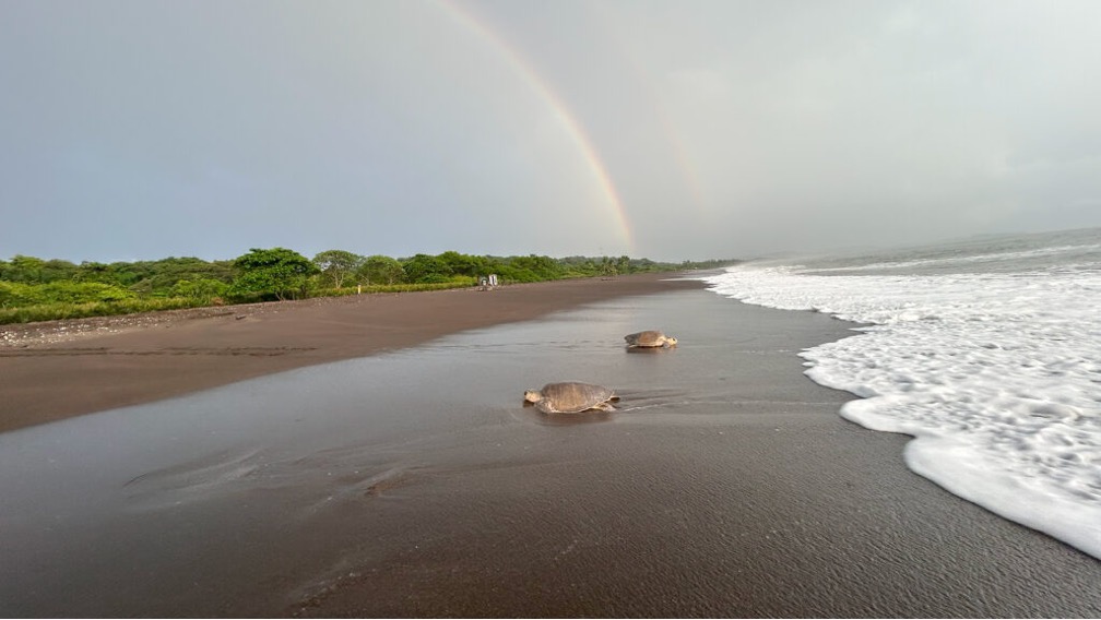 Villa Blanca – Ocean View Opportunity in Playa Ostional