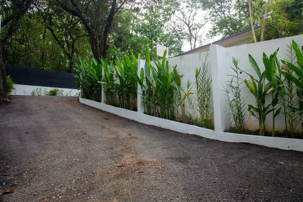 casa con jardín tropical nosara costa rica