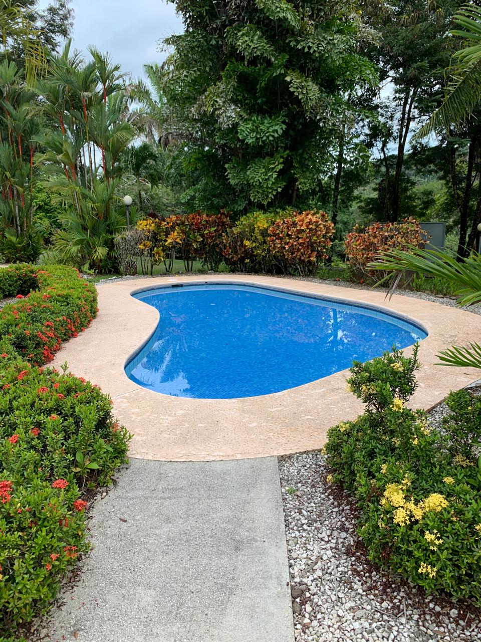 tropical community pool surrounded by gardens loma verde carrillo