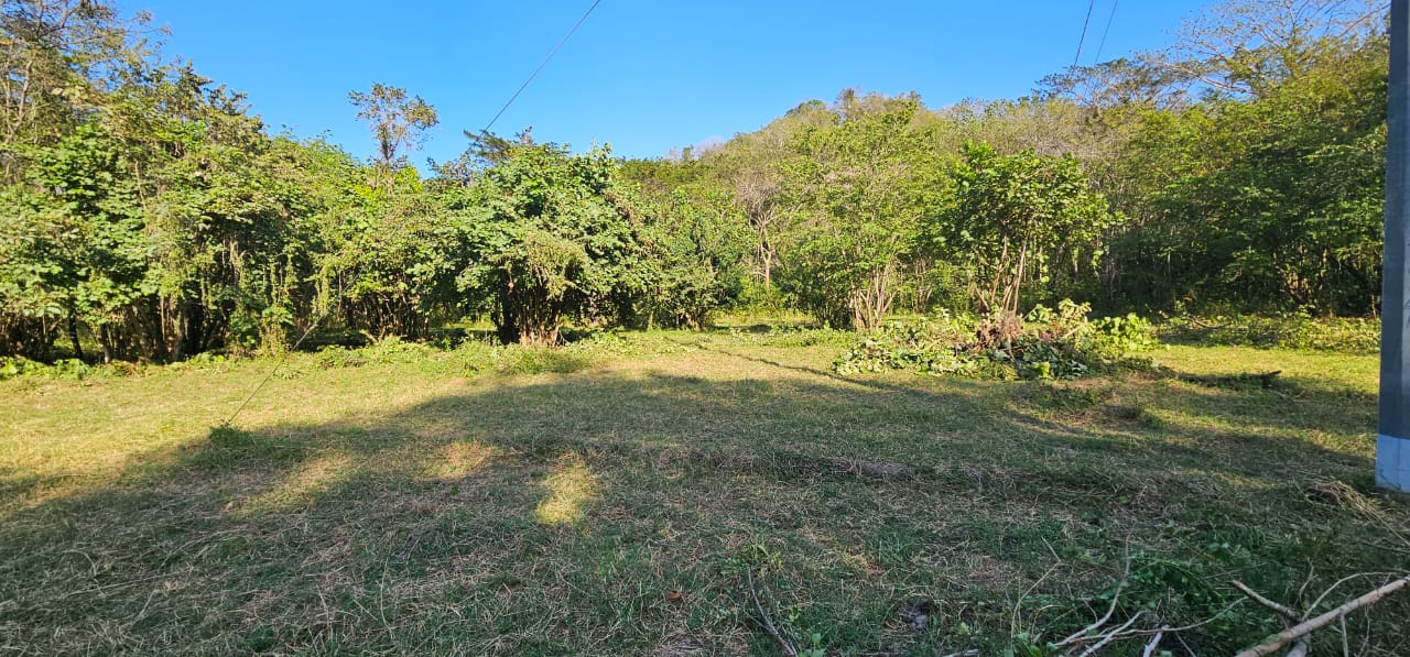 tropical investment land near samara costa rica