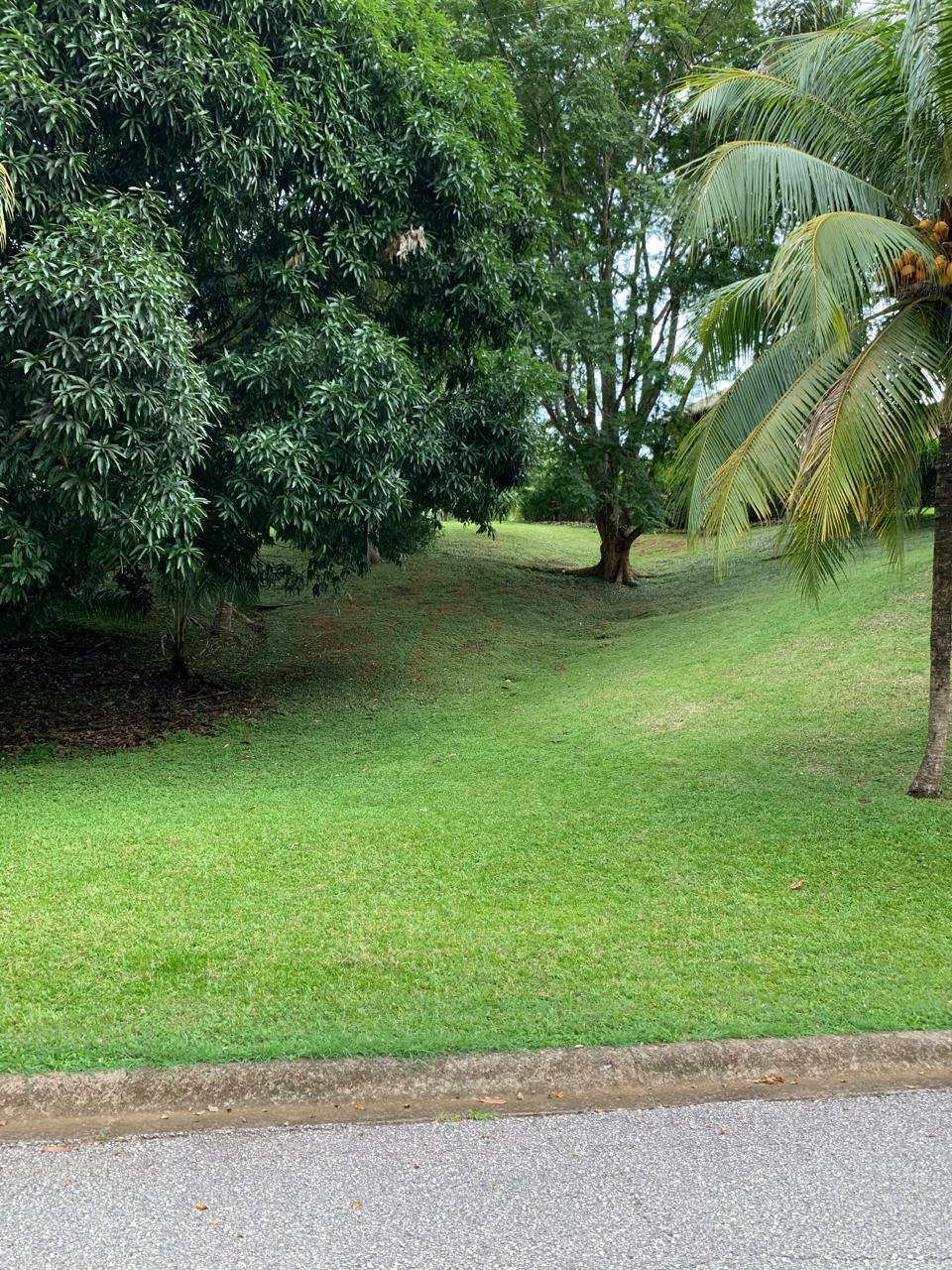 elevated land for sale lote brisa del bosque puerto carrillo costa rica