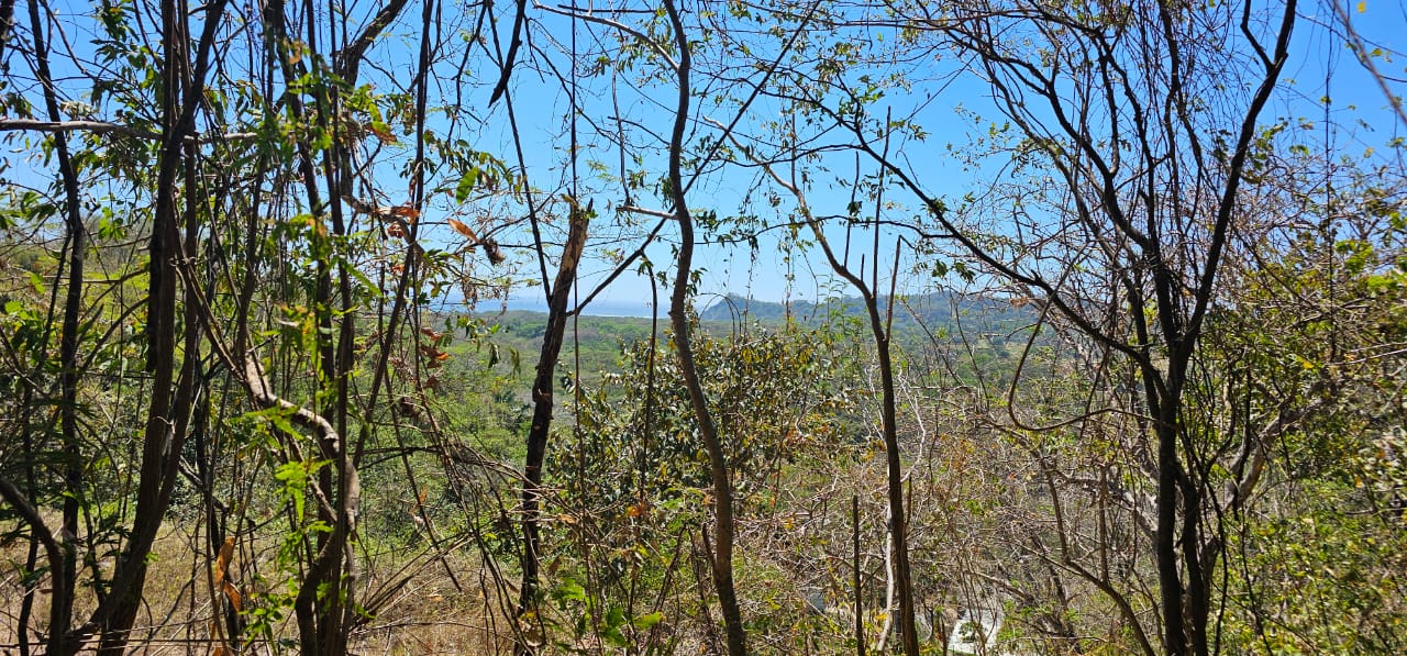 elevated lot with valley views buena vista samara guanacaste