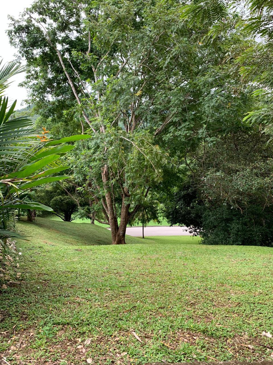 tropical garden landscape inside loma verde carrillo community
