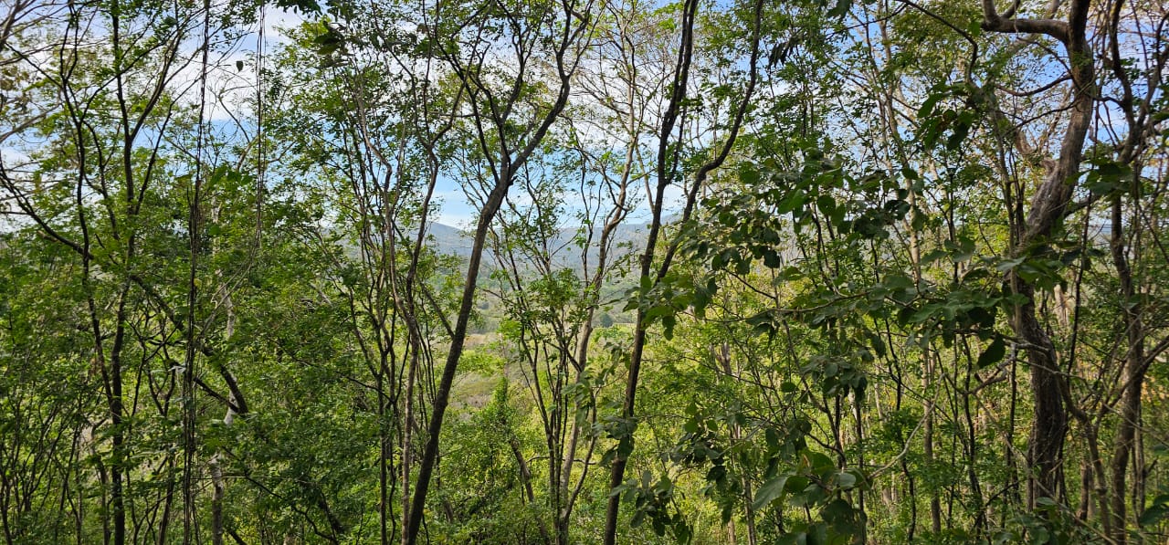 green hills landscape near buena vista samara