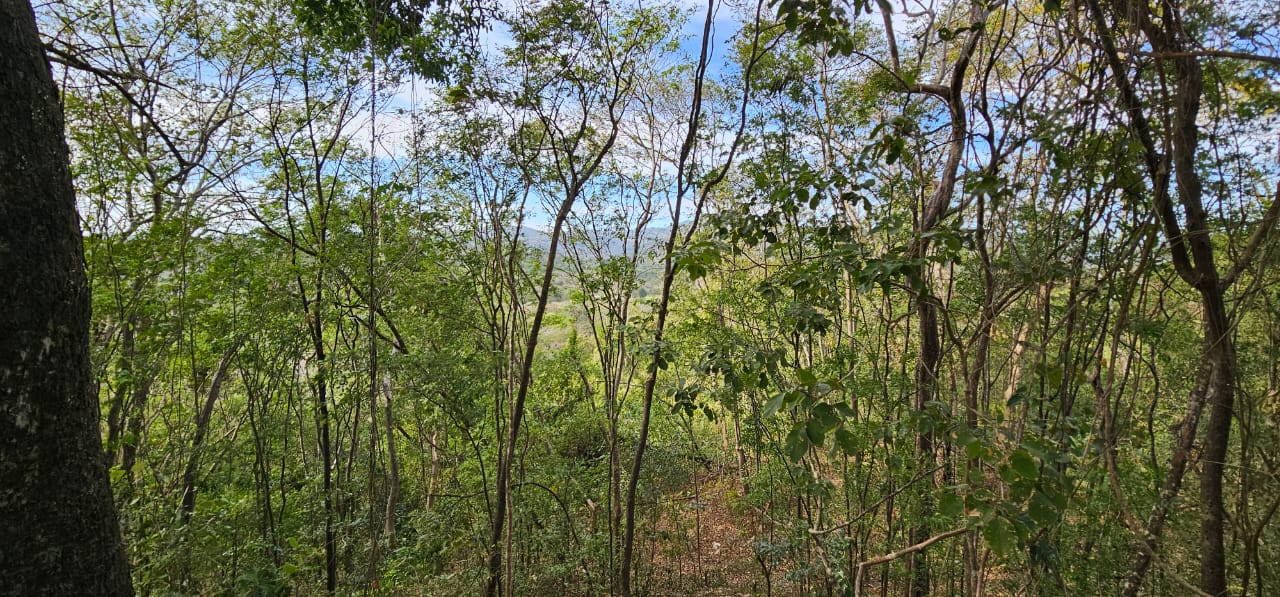lots horizonte verde land project near samara costa rica
