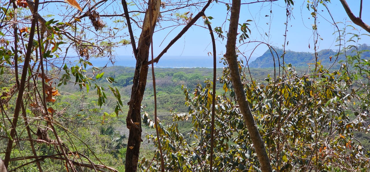 scenic hillside land near samara costa rica development opportunity
